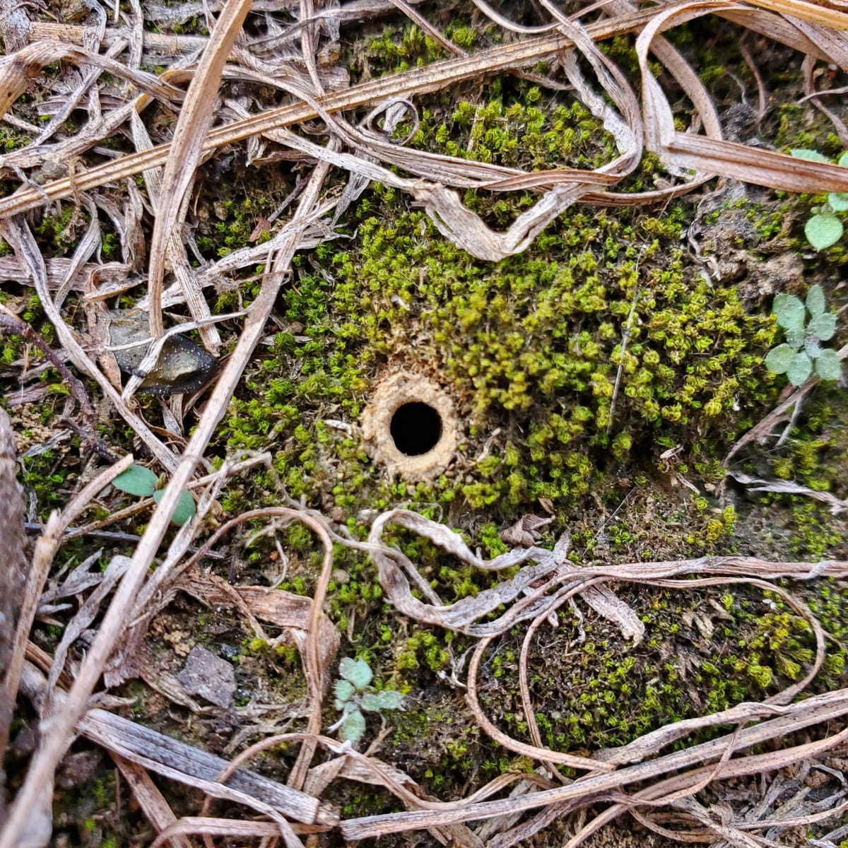 Book Reviews: October 2025