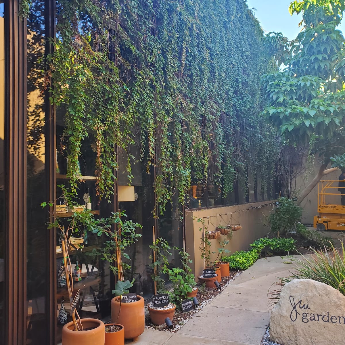 I Wanna Plant an Herb Garden