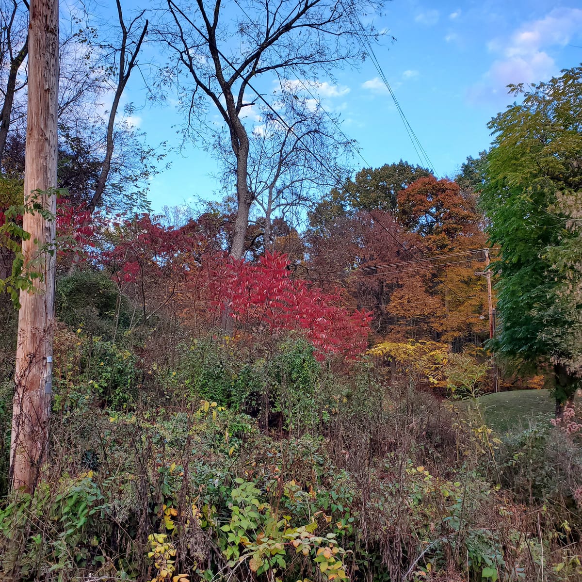 Book Reviews: November 2025