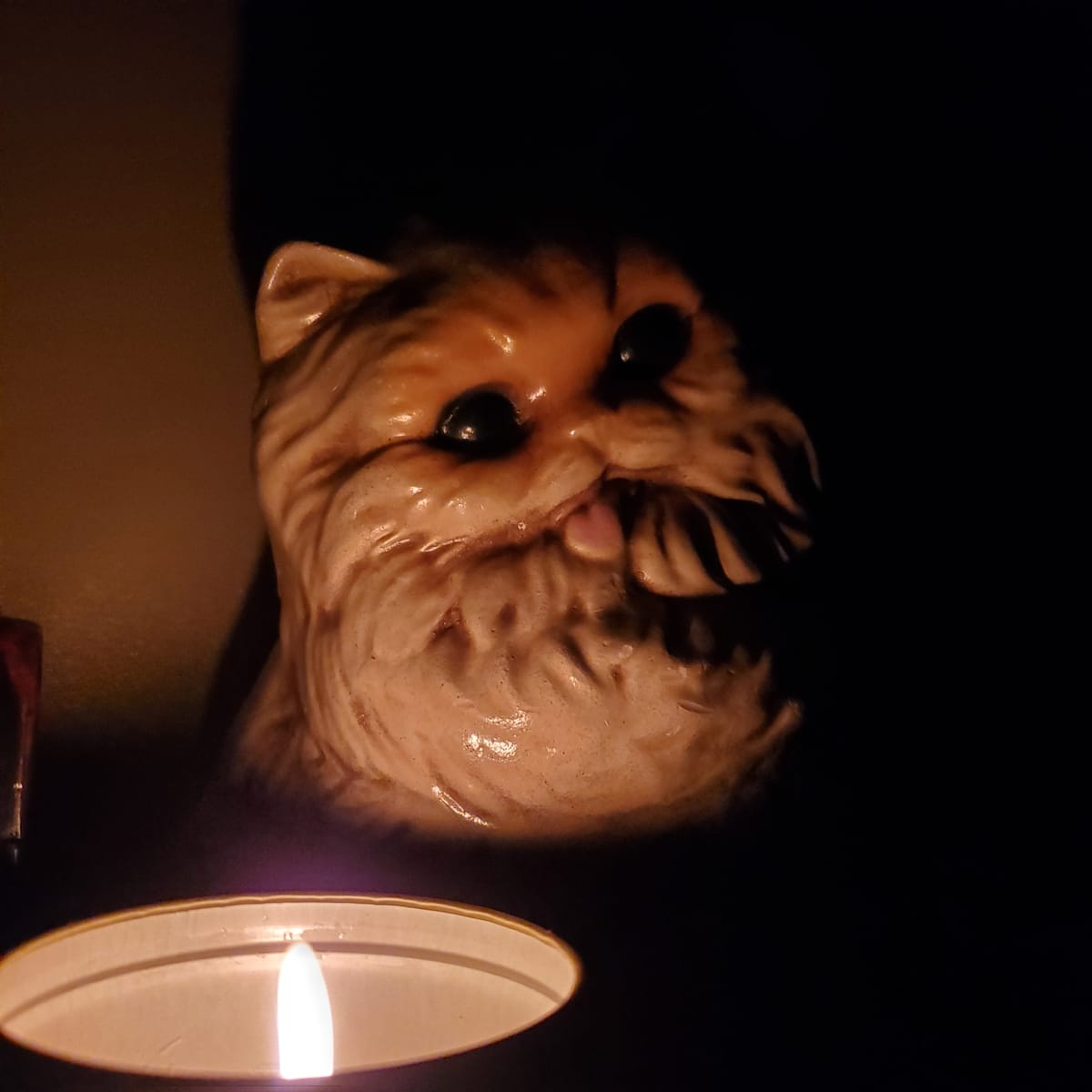 Book Reviews: December 2025, Part 1